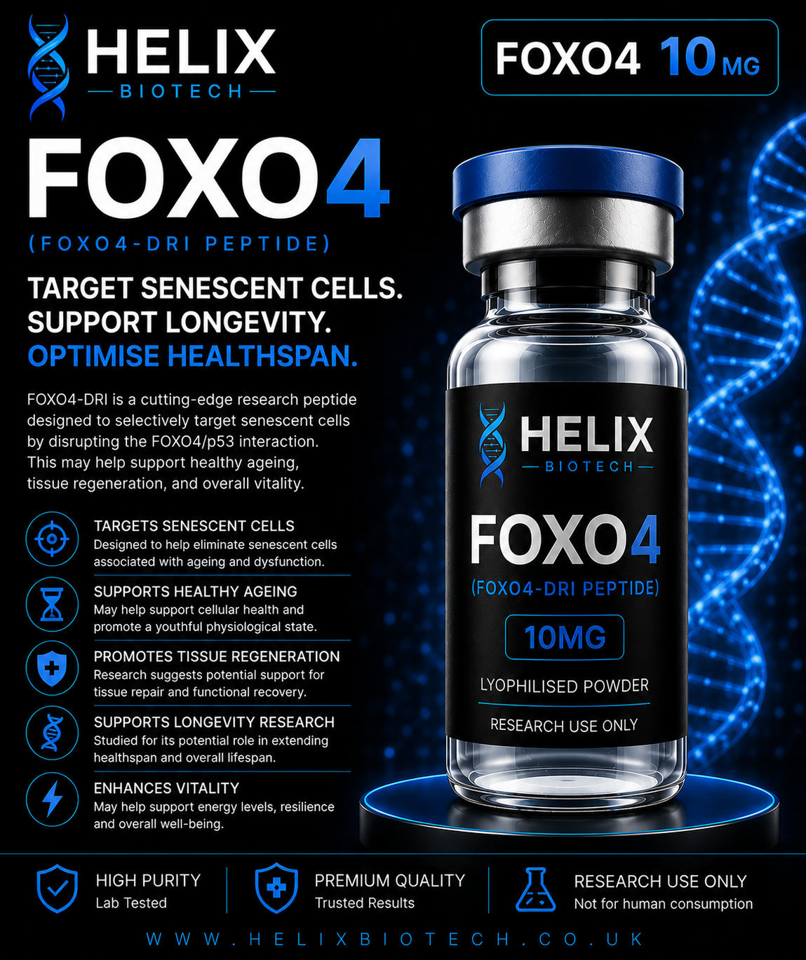 FOXO4 10mg